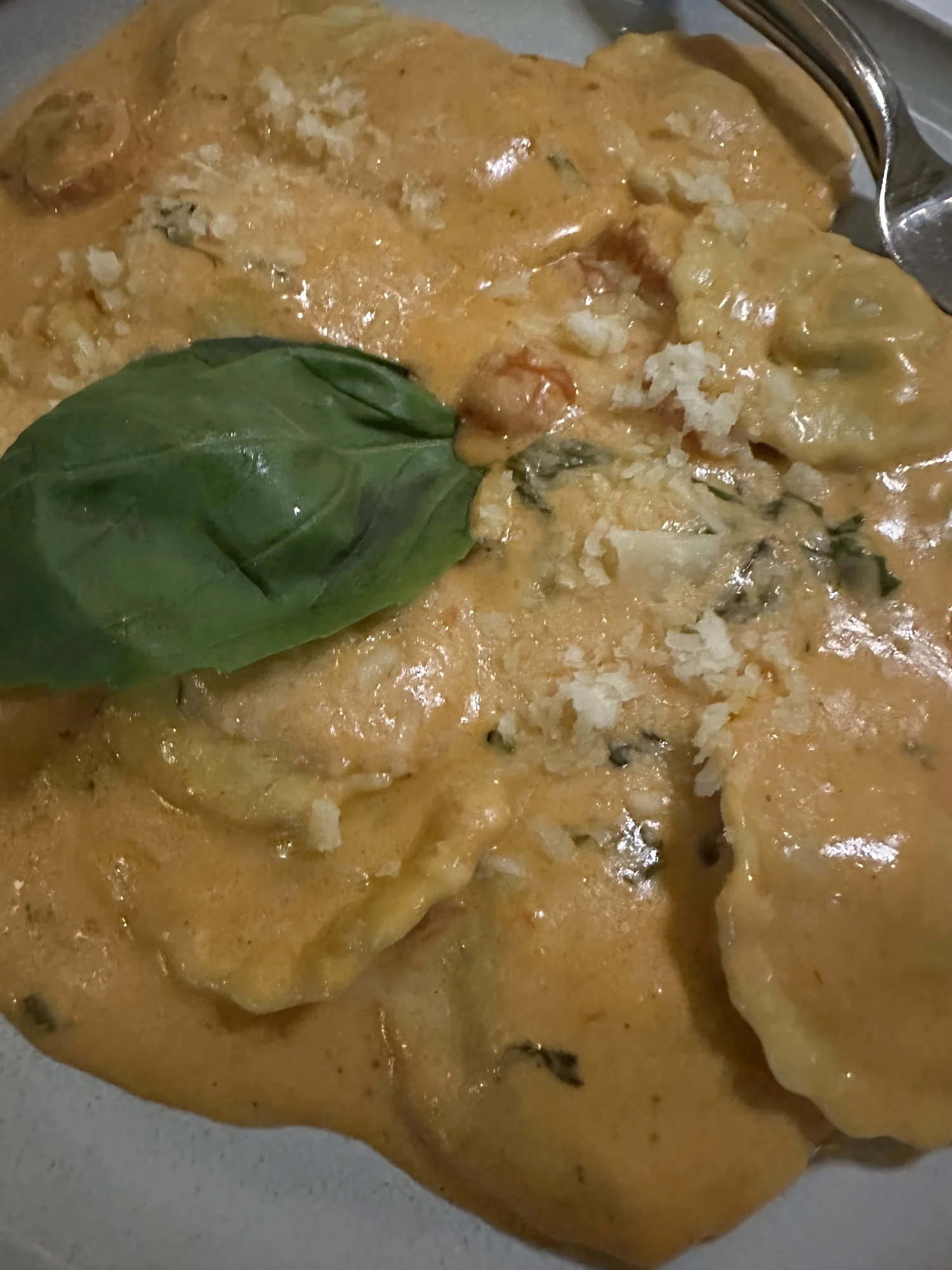 Rigatoni pasta in a creamy pink bolognese sauce with basil